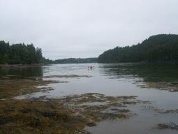 Kayaking in Little Kennebec Bay off Roque Bluffs, Maine