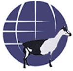 Alpines International Club