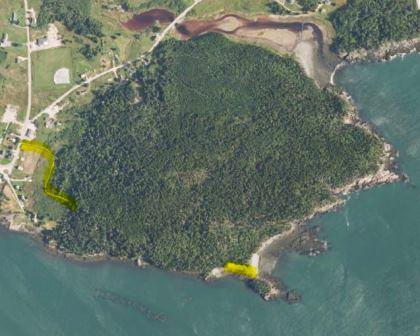 Eastern Knubble Trail Cutler Maine