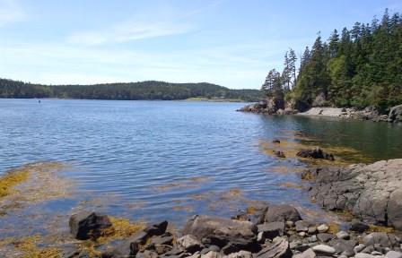Little River View of Eastern Knubble Trail