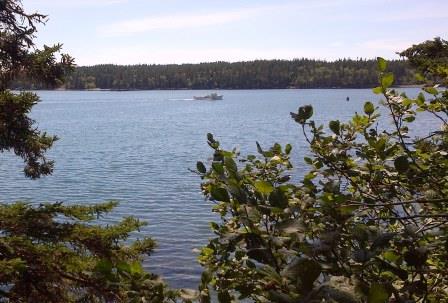 Lobster Boat in Little River