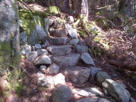 Stairway on the Eastern Knubble Trail