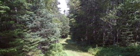 Mariners Way Trail Sea Ledges Cutler Maine