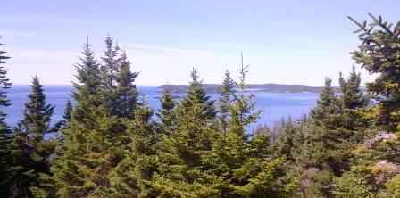 Seaview Lookout Sea Ledges Cutler Maine