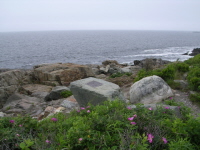 Momument Captain Sinnett