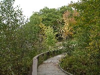 Peacock Beach State Park walking bridge